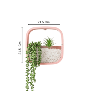 กระถางต้นไม้ กระถางติดผนัง (3)