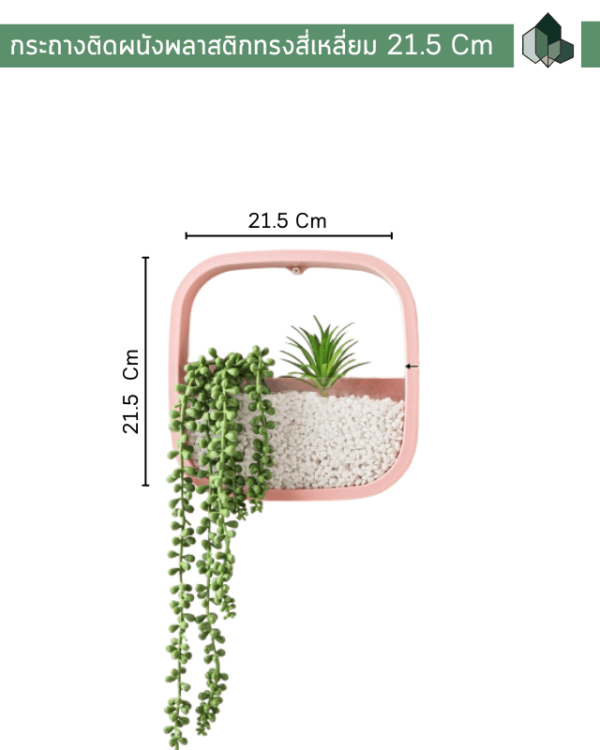 กระถางต้นไม้ กระถางติดผนัง (3)